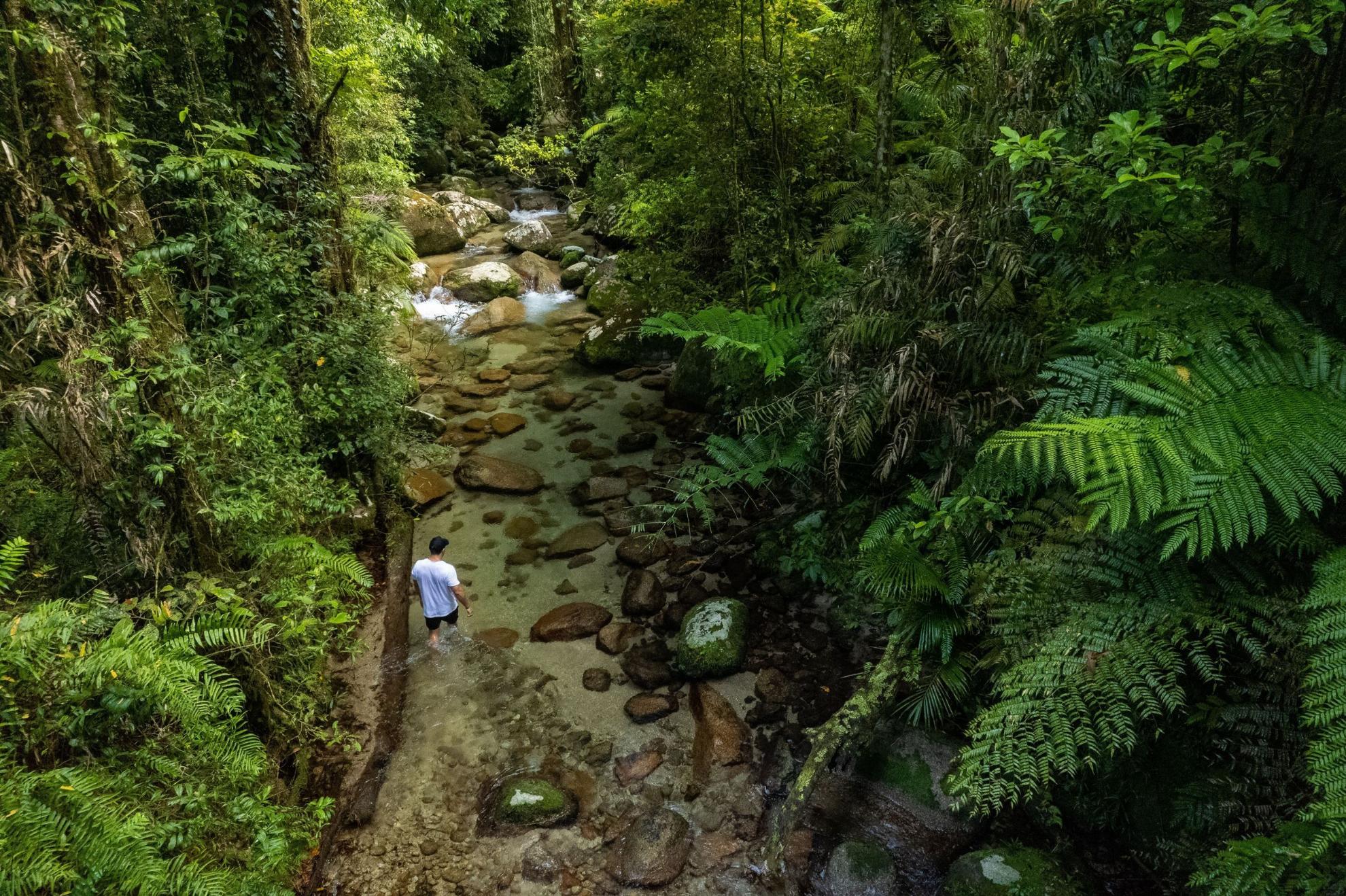 australia-qld-cairns-daintree 1091973-37 TA
