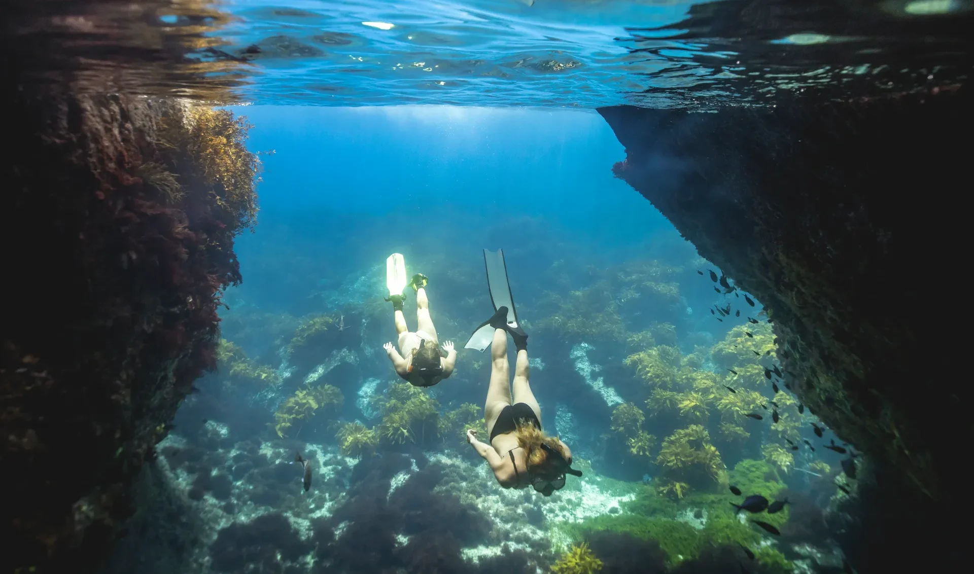 new zealand poor knights islands northland 235294 TNZ Credit Miles Holden e1724235339623 - Top Snowbird Destinations For Canadians to Escape the Winter Chill new-zealand-poor-knights-islands-northland-235294-TNZ