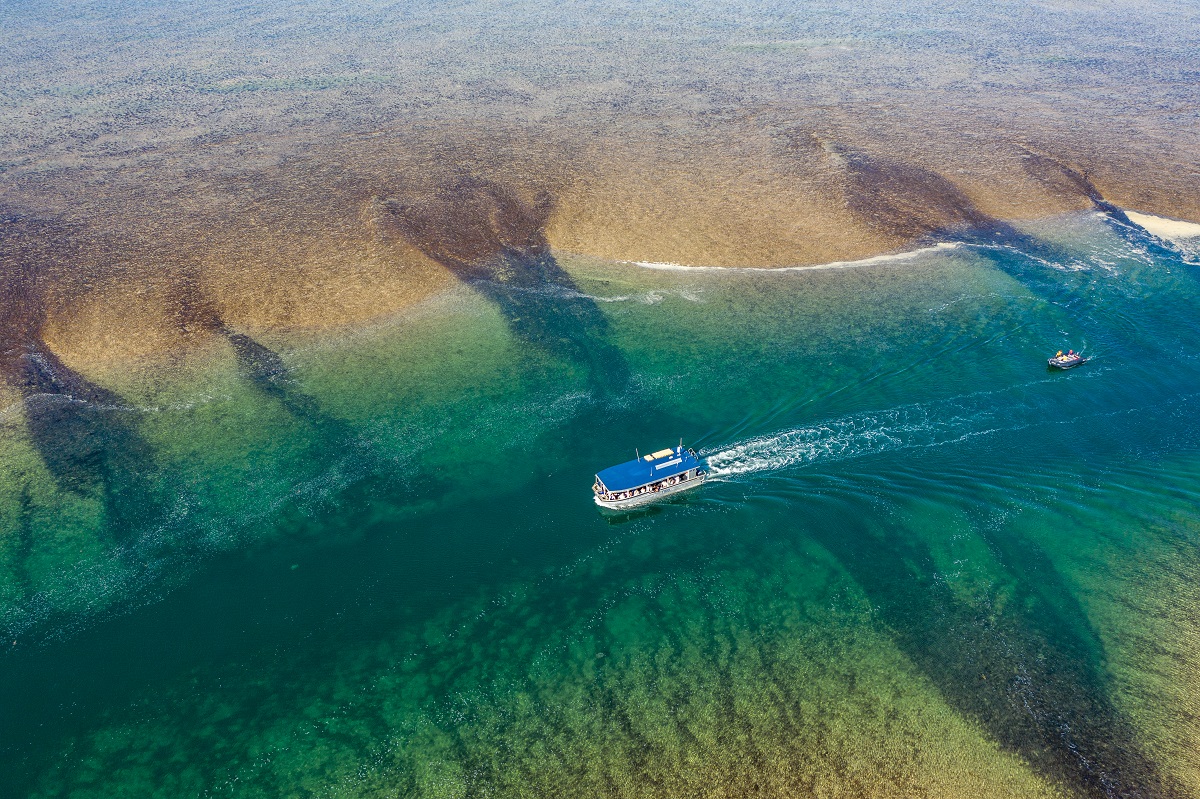 australia-cruise-kimberley-Coral -Expeditions-Montgomery-reef-aerial