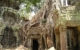 asia-cambodia-siem-reap-angkor-wat-ta-prom-PB 469