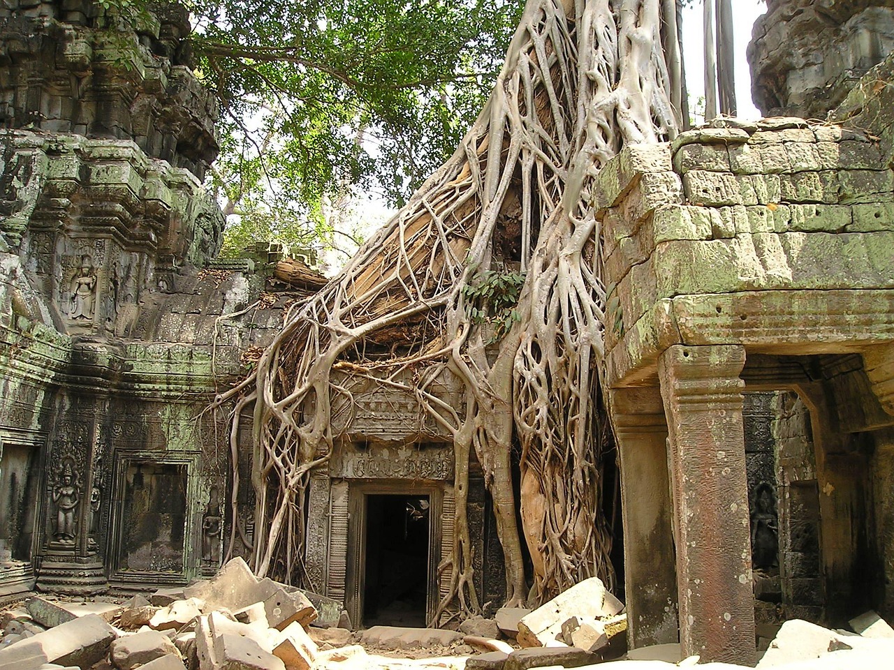 asia-cambodia-siem-reap-angkor-wat-ta-prom-PB 469