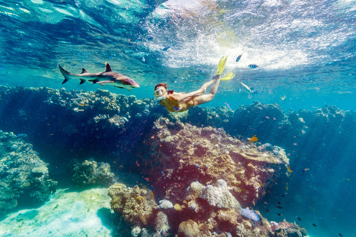 fiji cruise blue lagoon activities shark snorkelling - Schools Out! We’ve Got Your Perfect Family Trips for Summer