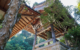 japan-Miyajima-Island-Coral-Expeditions