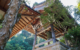 japan-Miyajima-Island-Coral-Expeditions