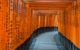 japan-kyoto-fushimi-inari-taisha-shrine-torii-gates PB 6023187