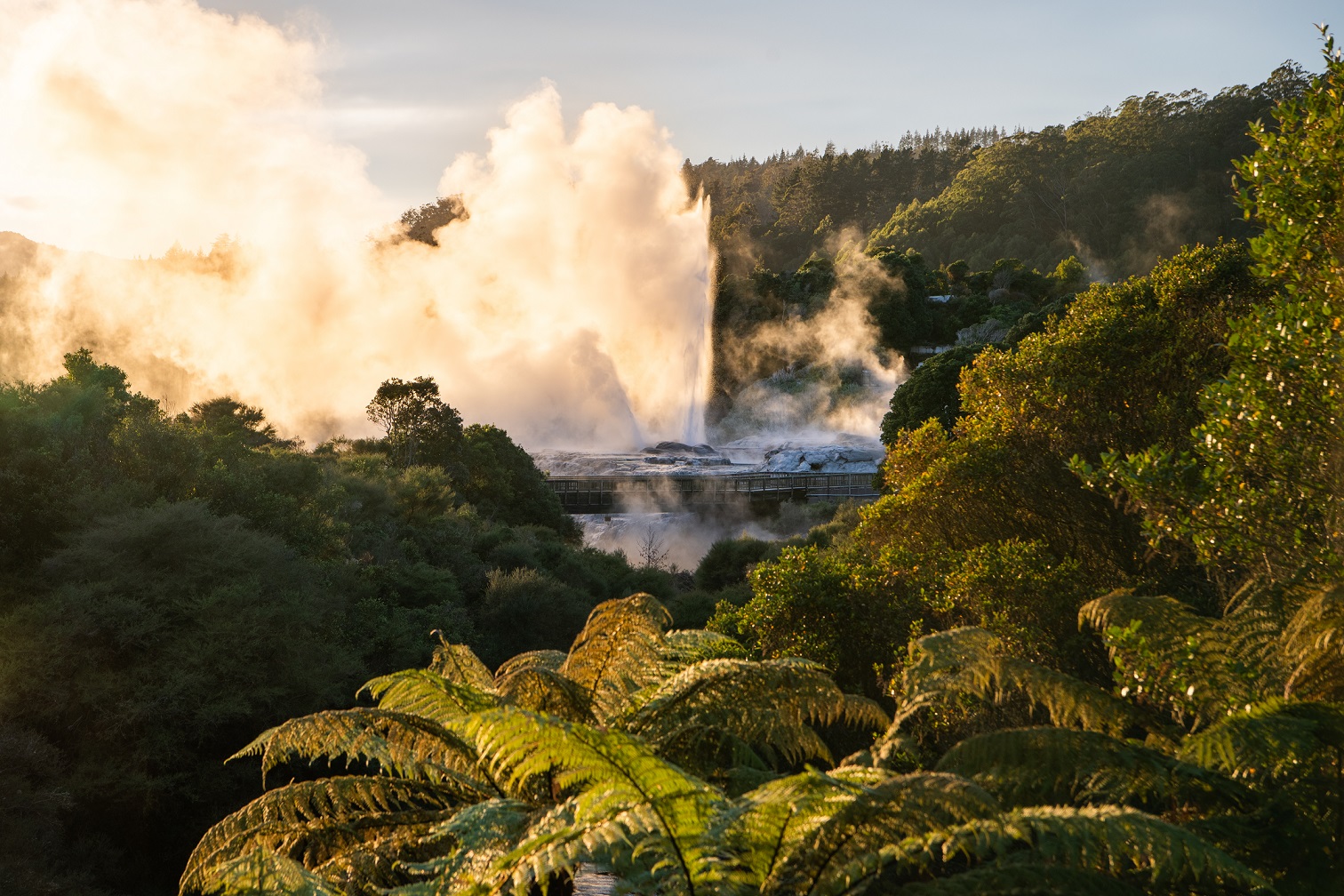 new-zealand-rotorua-Te Pō - Pōhutu at dusk 2-