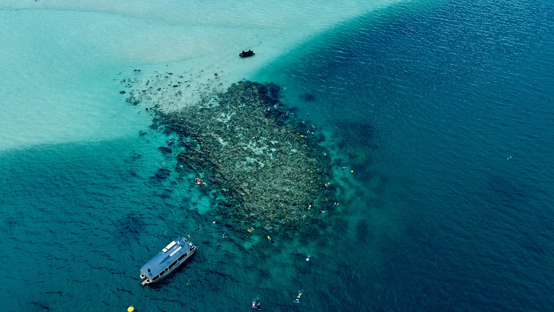 australia-western-cruise-coral-expeditions-ashmore-reef-snorkelling.jpeg