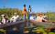 africa-botswana-mokoro