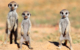
africa-namibia-Naukluft