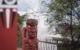 new-zealand-north-island-rotorua-whakarewarewa