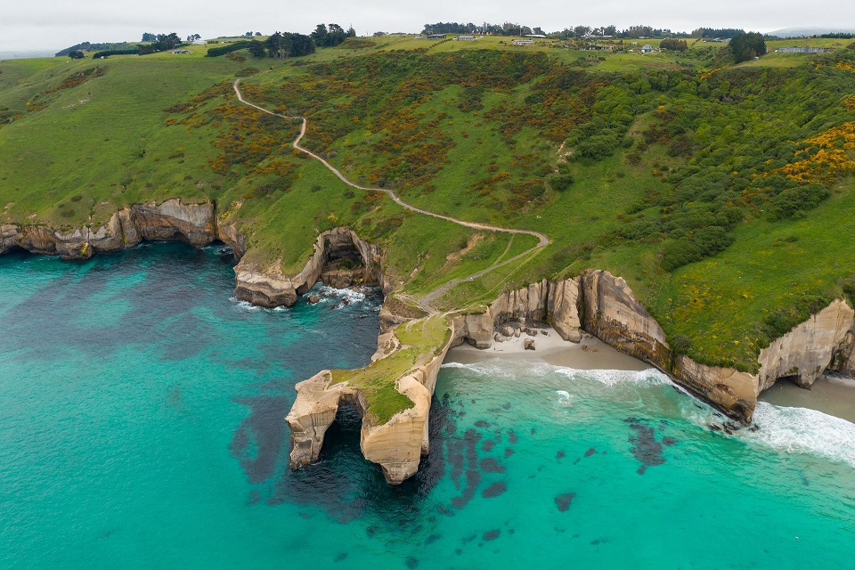 cnew-zealand-south-island-otago-dunedin TNZ 233501
