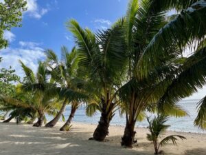 cook-islands-rarotonga-food-falafel-shack-view-dut-amber-woods