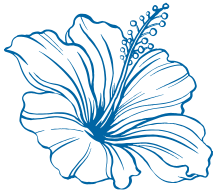 DUT-icon-hibiscus-blue