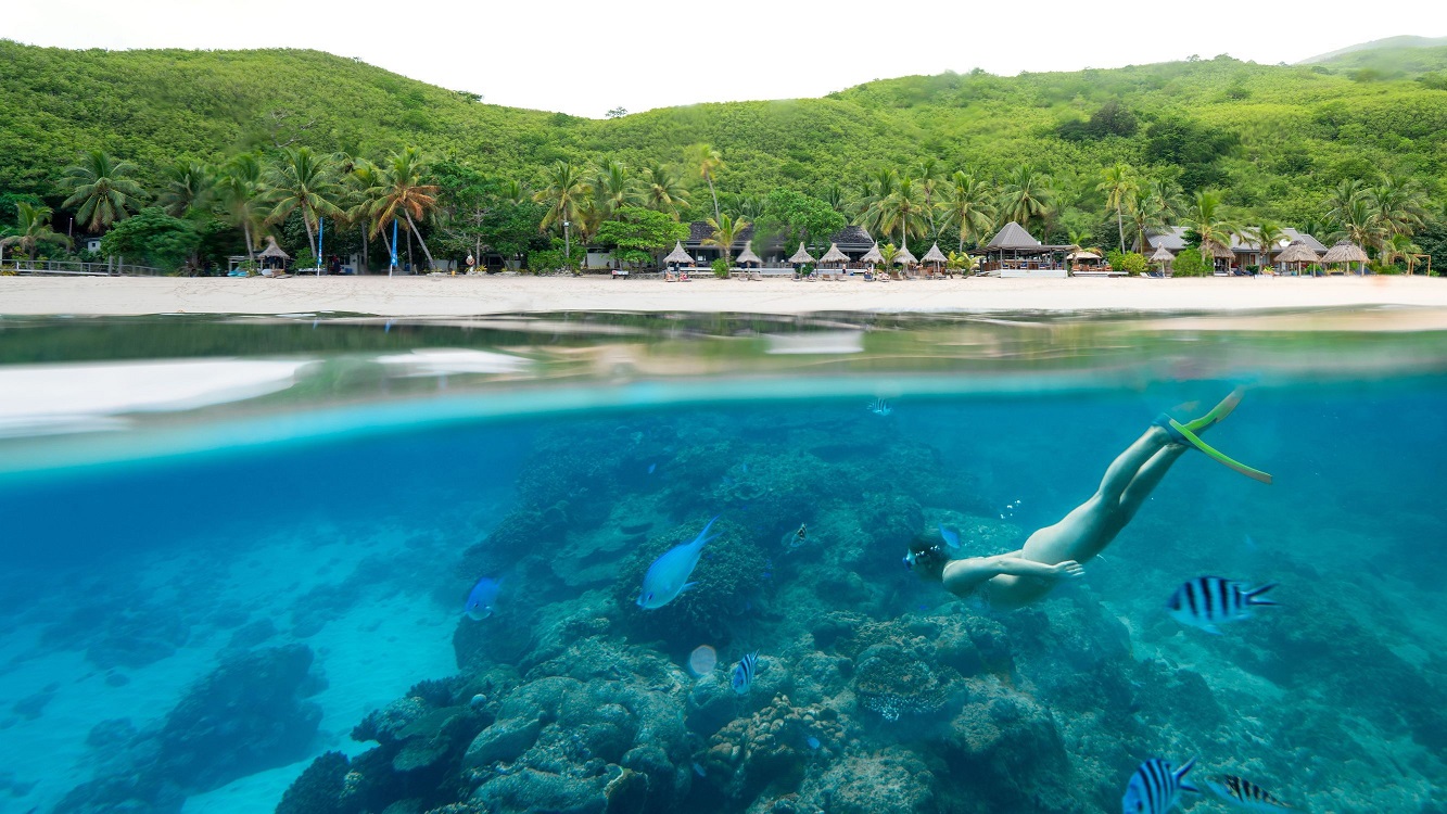 Snorkelling at Octopus Island, Fiji