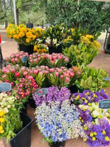 Market Flowers, Canberra, Australia