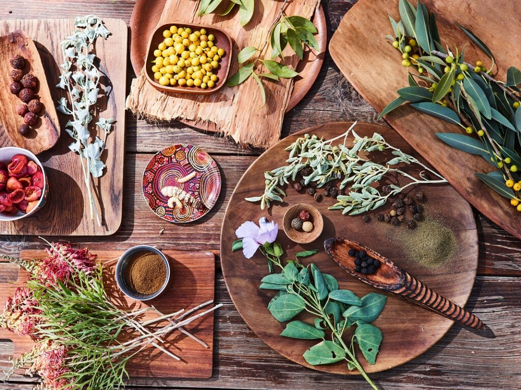 Bush Tucker in Australia
