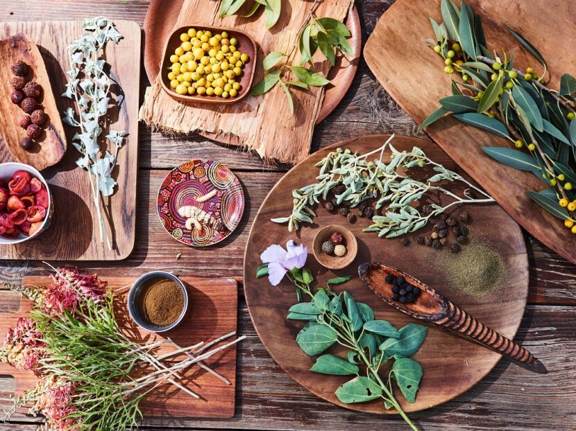 Bush Tucker in Australia