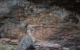 Kakadu National Park Rock Art, Australia