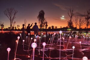Uluru Field of Light, Australia