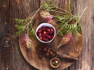 Sampling Bush Tucker at Ayers Rock Resort, Australia