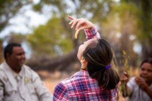 Sampling native bush tucker, central Australia