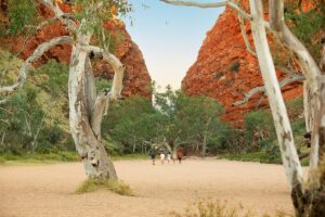 australia nt west macdonnell national park simpsons gap burt plain 1089352 134 TA - Top National Parks to Visit in Australia's Northern Territory Simpson's Gap, West MacDonnell National Park, Australia