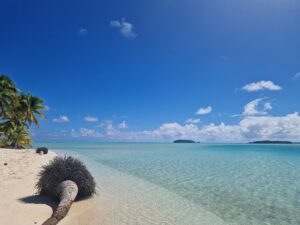 cook islands aitutaki one foot island DUT team - From Calgary to the Cook Islands: A Perfect 7-Night Escape