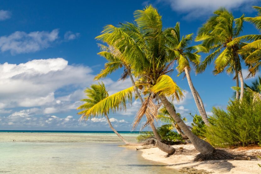 Experience Cook Islands Culture - Beyond the Beach: Experience Cook Islands Culture, Music & Local Traditions