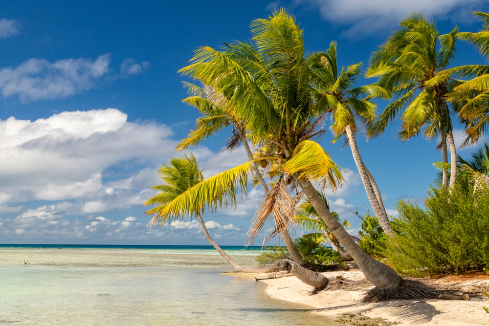 Experience Cook Islands Culture - Beyond the Beach: Experience Cook Islands Culture, Music & Local Traditions Experience Cook Islands Culture - Beyond the Beach: Experience Cook Islands Culture, Music & Local Traditions
