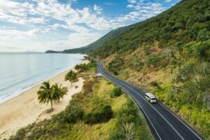 australia qld coast daintree drive billy tea 1023245TA MandCred - Into the Wilds: The Australian Outback Beyond Uluru