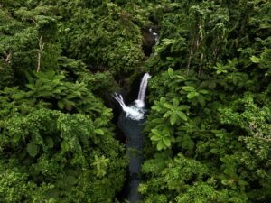 Aerial view of Lavena waterfall surrounded by lush tropical rainforest