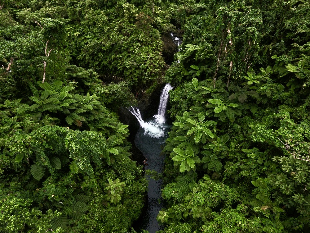 Aerial view of Lavena waterfall surrounded by lush tropical rainforest